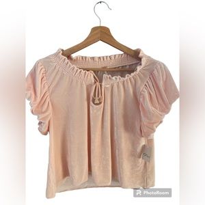 Free People pink velvet top